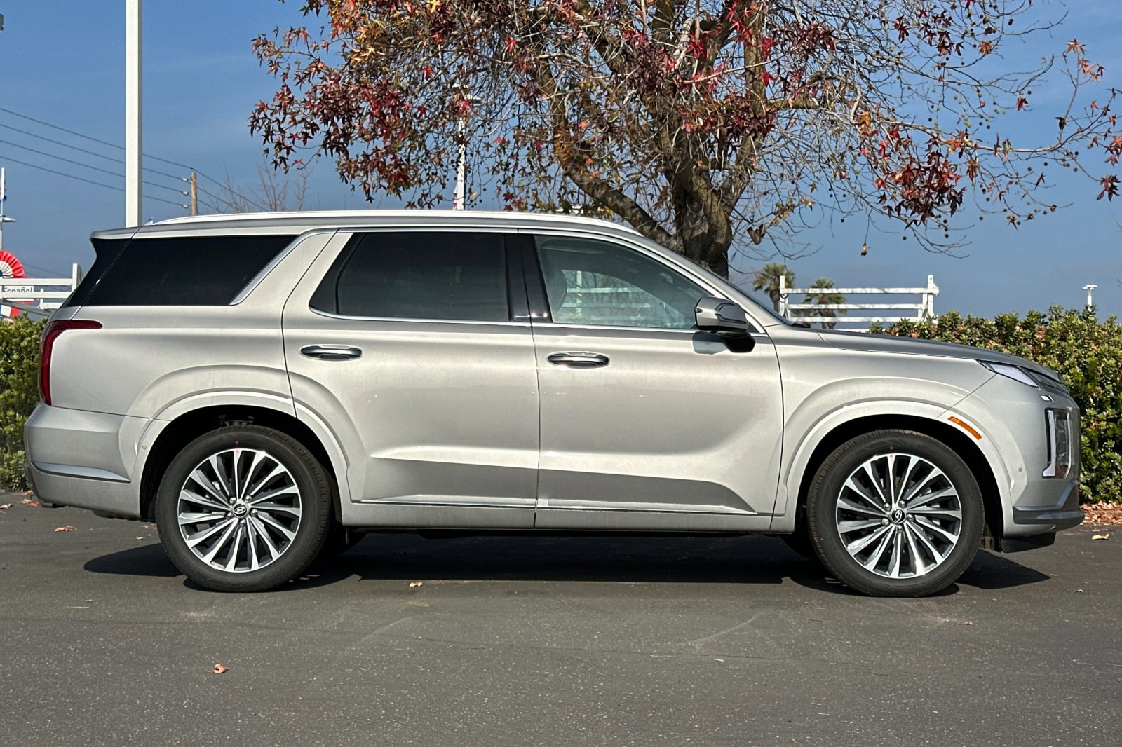 New 2025 Typhoon Silver Hyundai Calligraphy FWD image 29