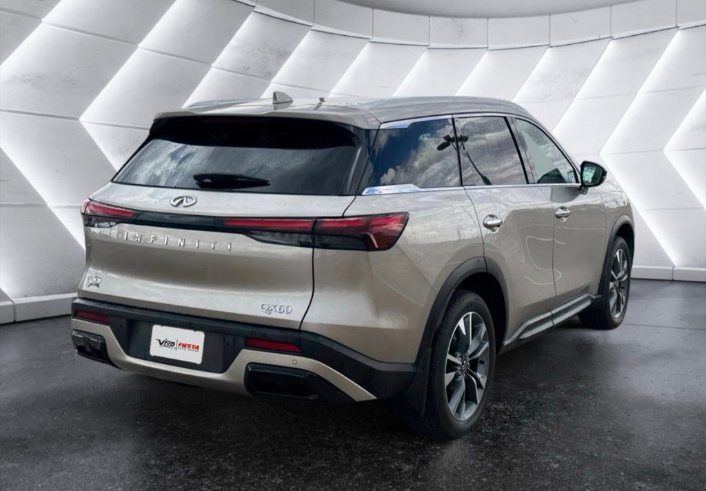 2024 Infiniti QX60 Luxe photo 2