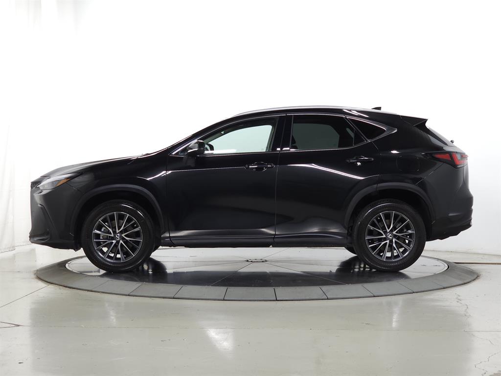 2023 Lexus NX Premium photo 3