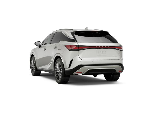 2025 Lexus RX photo 3