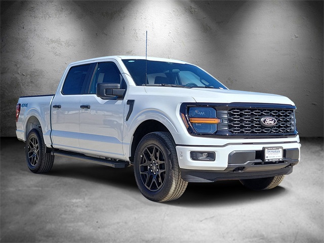2025 Ford F-150 STX photo 2