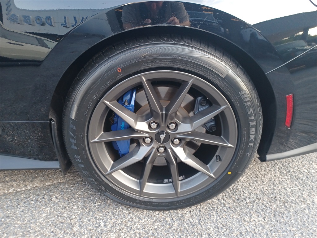 2024 Ford Mustang Dark Horse photo 9