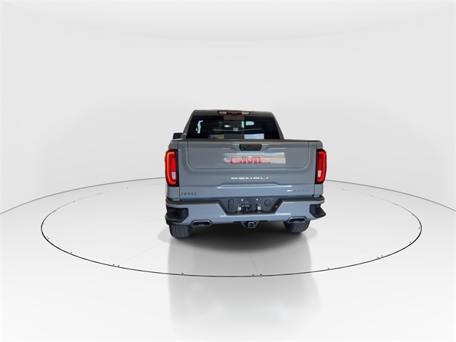 2025 Gmc Sierra 1500 Denali photo 4