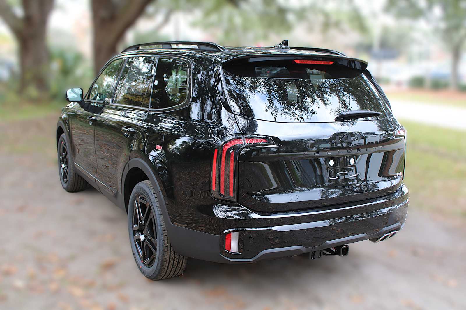 2025 Kia Telluride EX X-Line photo 12
