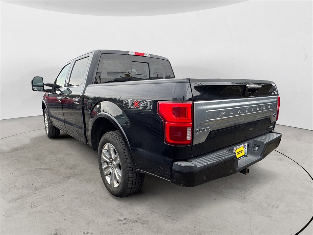 2019 Ford F-150 Platinum photo 3