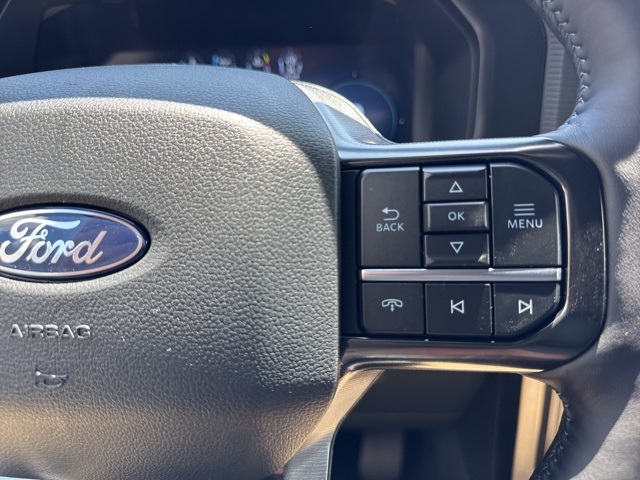 2025 Ford F-150 Platinum photo 18