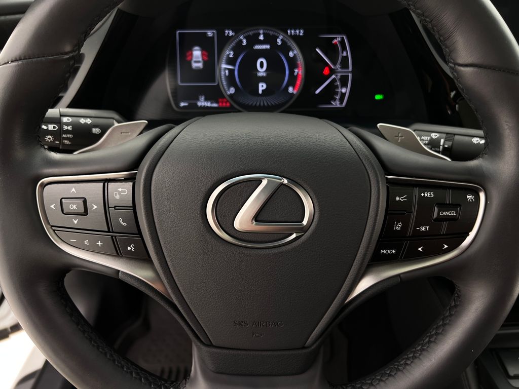 2022 Lexus ES 250 photo 19