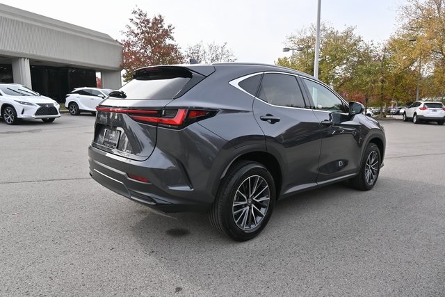 2025 Lexus NX 350 Premium photo 3