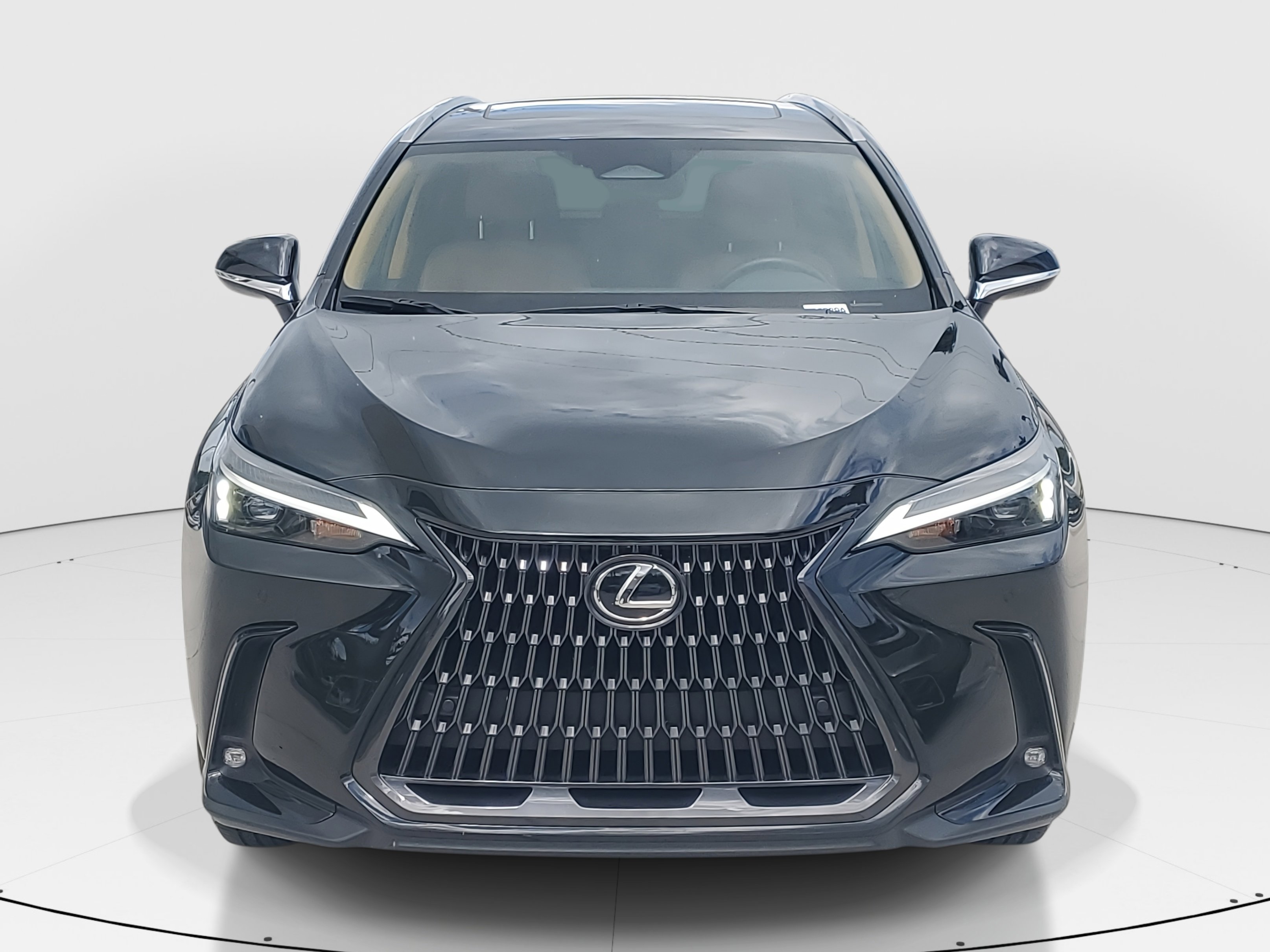 2023 Lexus NX 350 Premium photo 3