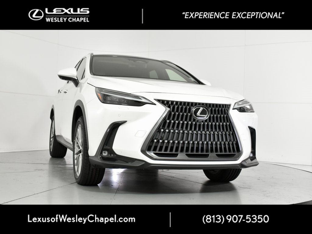 2022 Lexus NX Hybrid 350h's photo