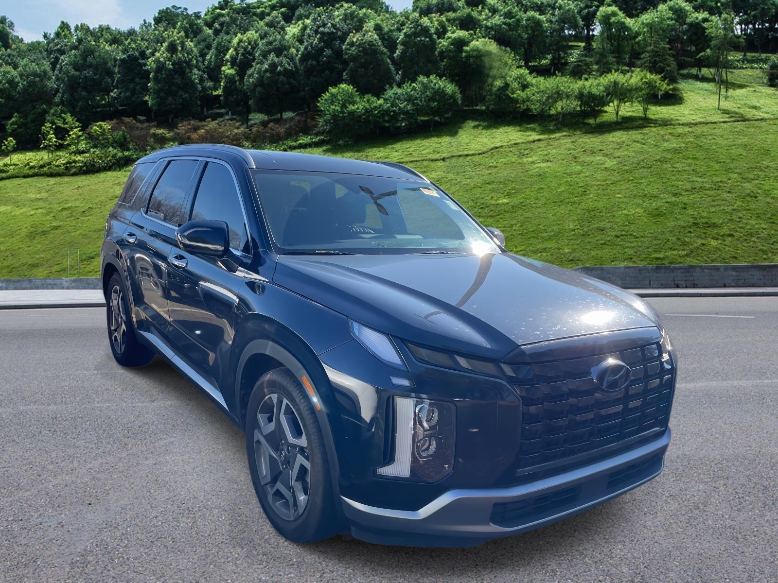 2023 Hyundai Palisade Limited's photo