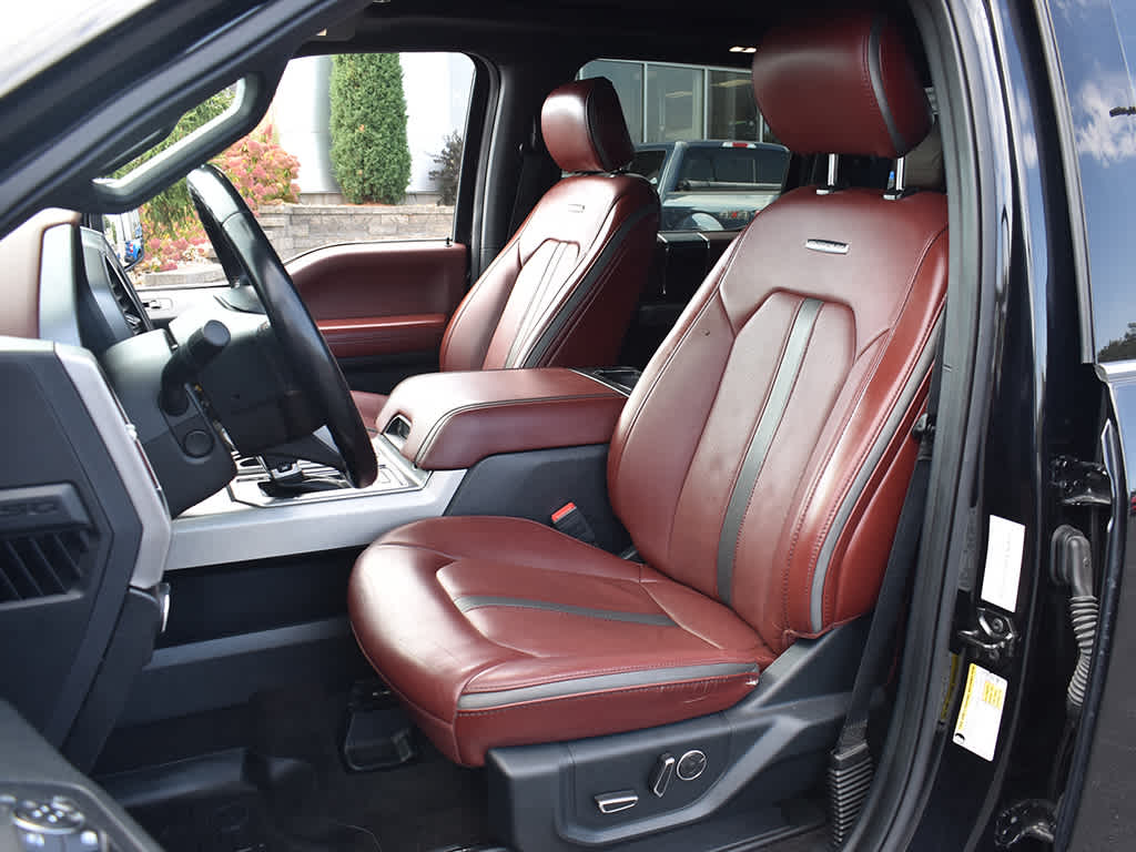 2020 Ford F-150 Platinum photo 5