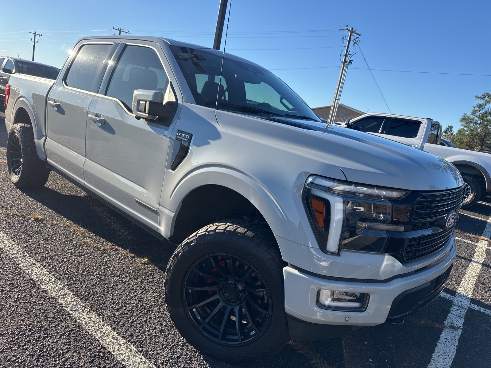 2024 Ford F-150 Platinum's photo
