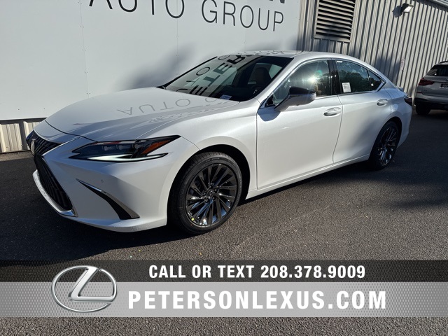2025 Lexus ES 300h Luxury photo 7