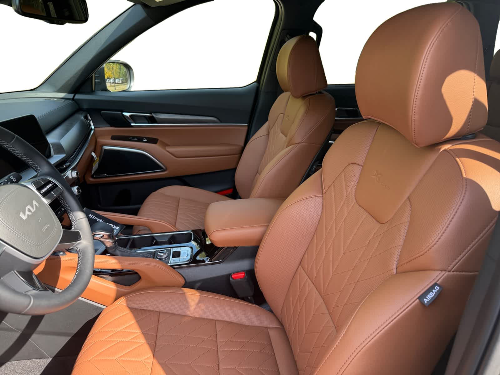 2025 Kia Telluride EX X-Line photo 8