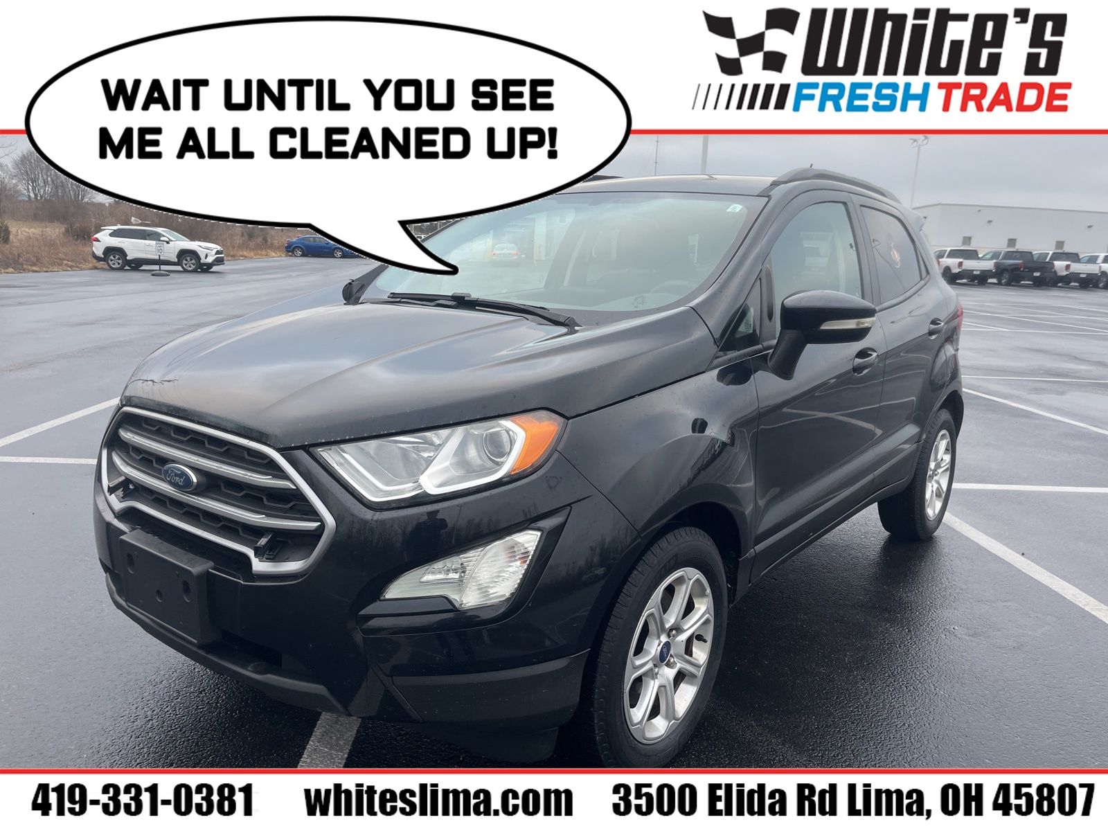 2019 Ford Ecosport SE