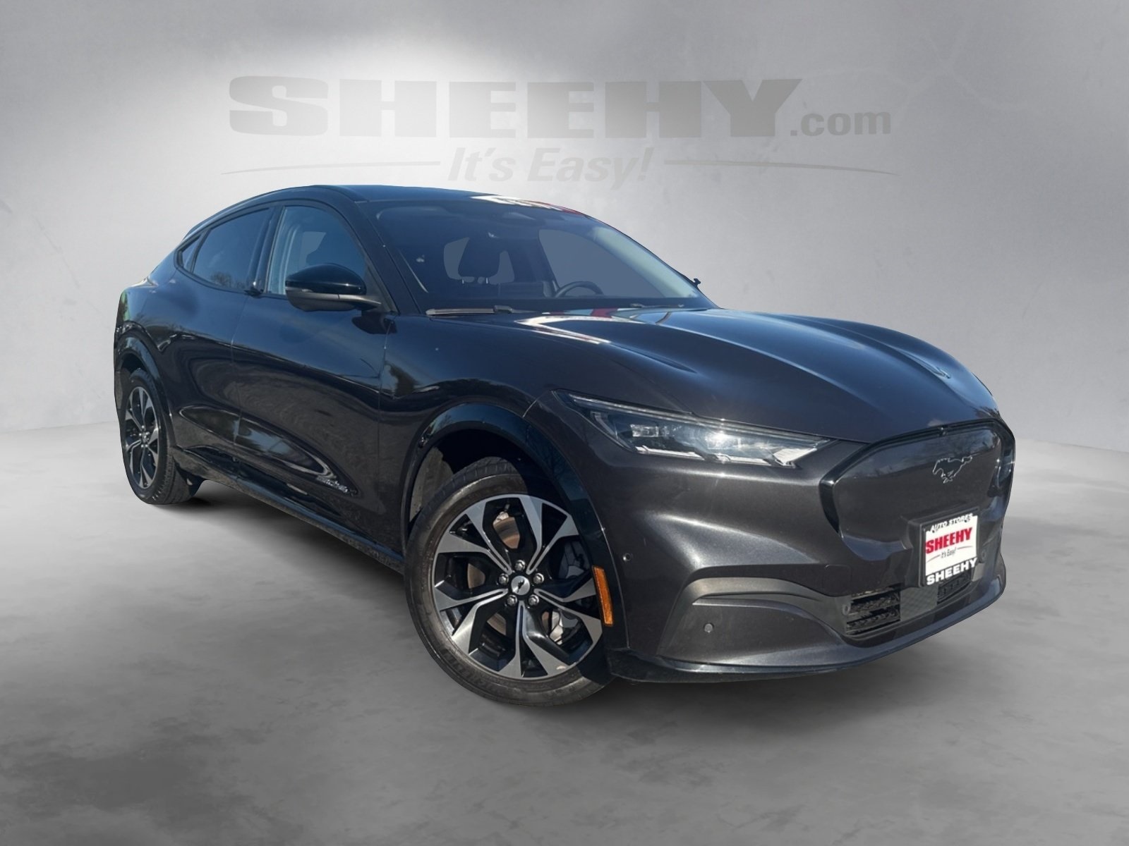 2021 Ford Mustang Mach-E Premium photo 2