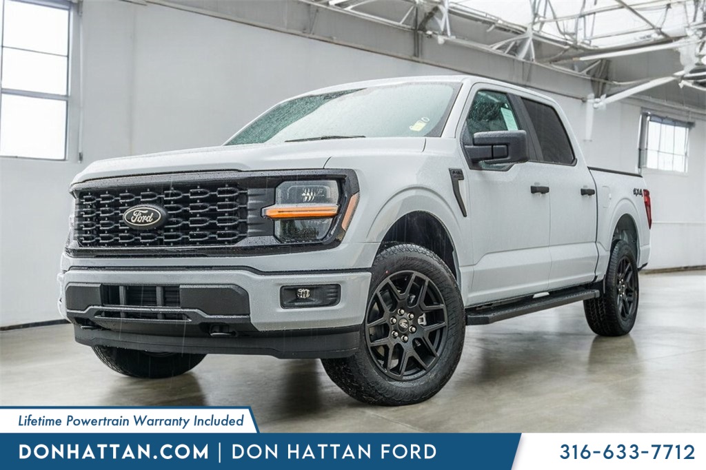 2025 Ford F-150 STX's photo