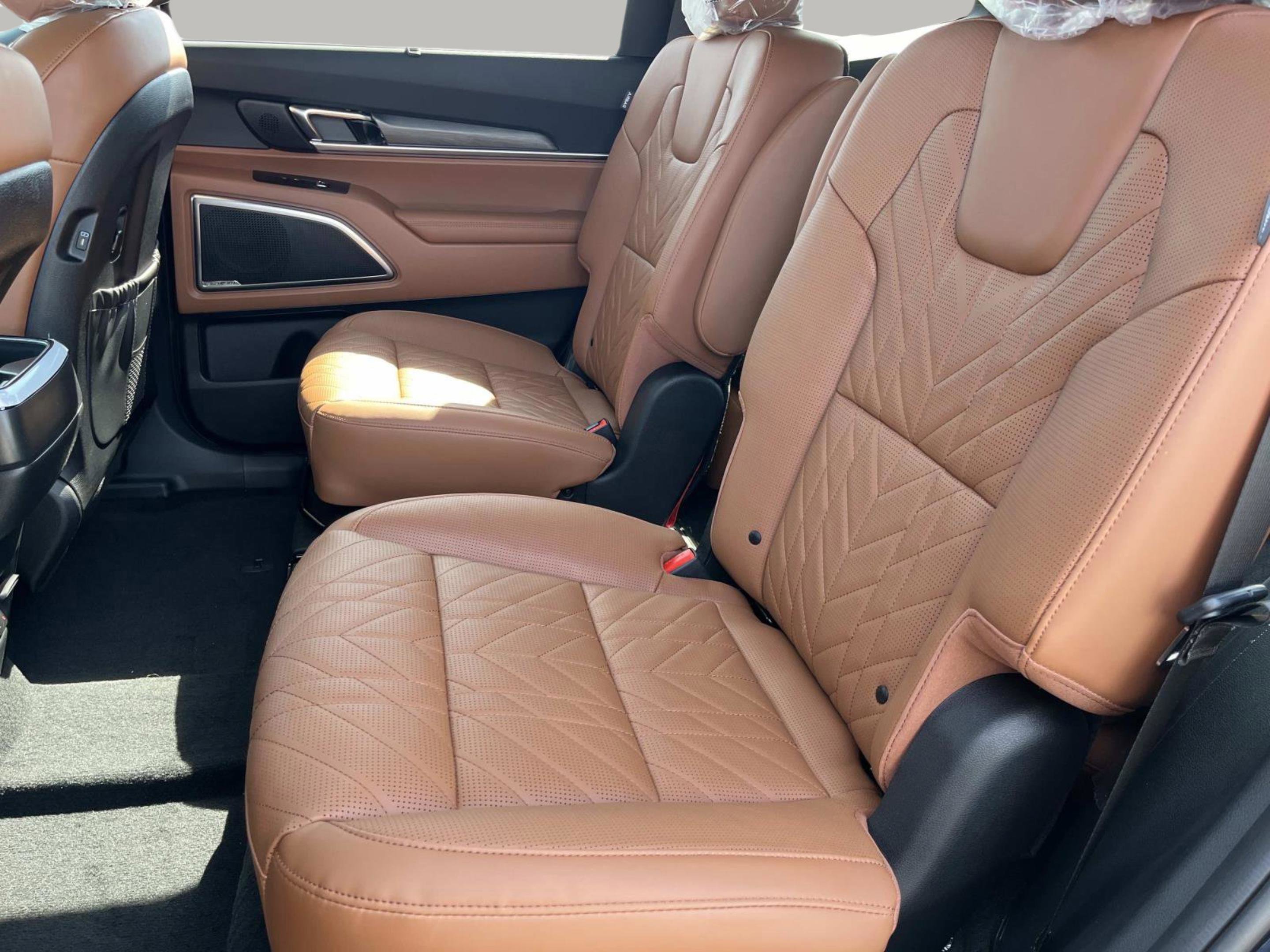 2025 Kia Telluride SX Prestige X-Line photo 20