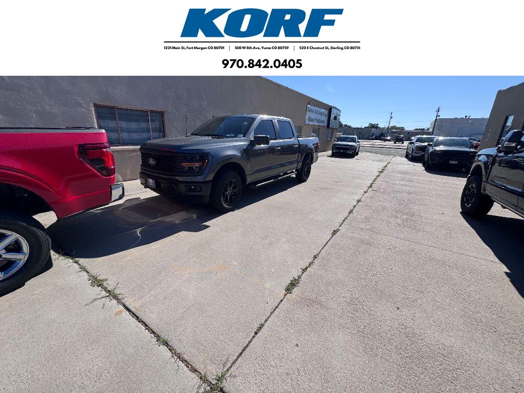 2025 Ford F-150 STX's photo