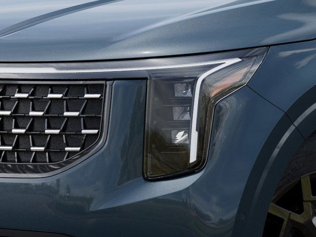 2026 Kia Carnival SX photo 10
