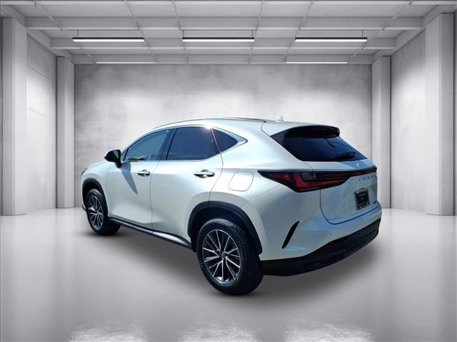 2024 Lexus NX 250 Premium photo 5