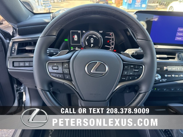 2025 Lexus ES 300h Luxury photo 22
