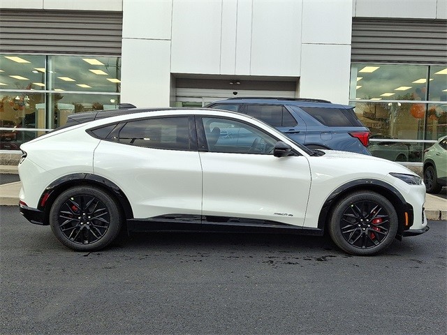 2025 Ford Mustang Mach-E Premium AWD's photo