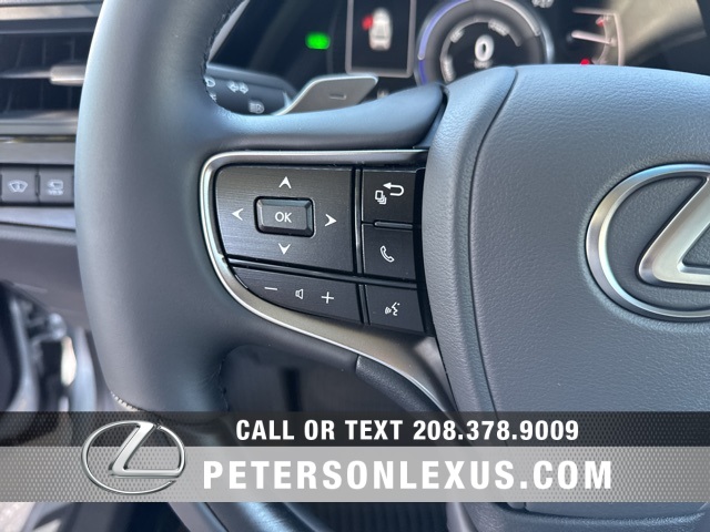 2025 Lexus ES 300h Luxury photo 23