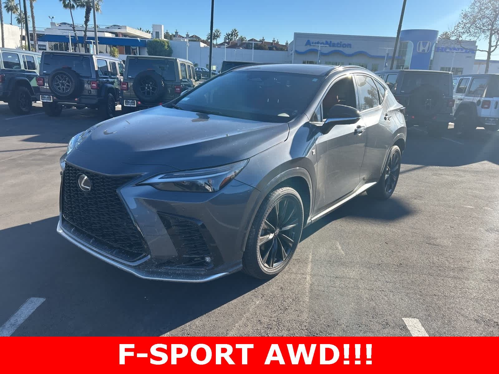 2022 Lexus NX PHEV 450h+'s photo