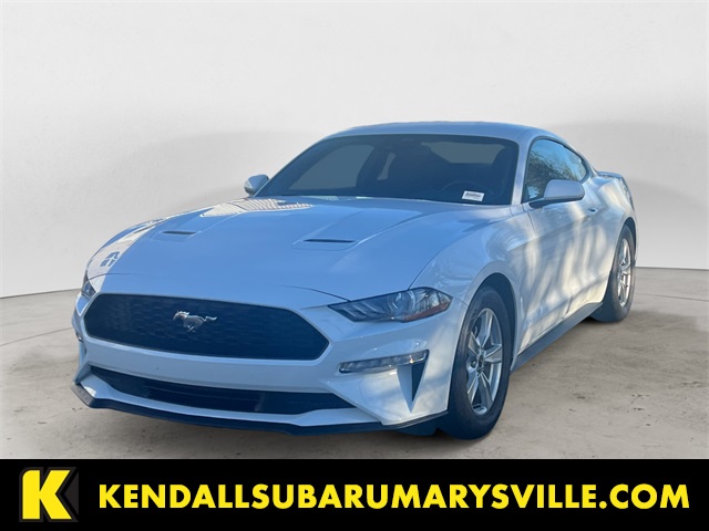 2023 Ford Mustang EcoBoost's photo