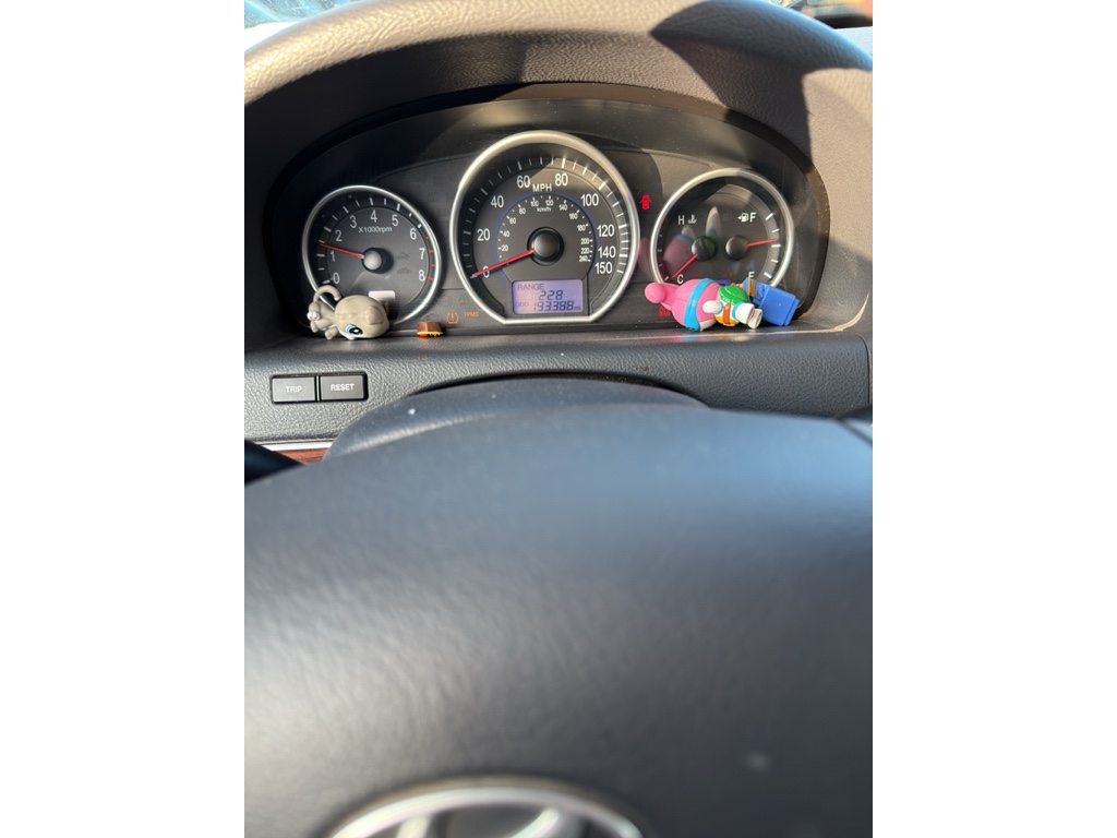 2008 Hyundai Veracruz GLS's photo