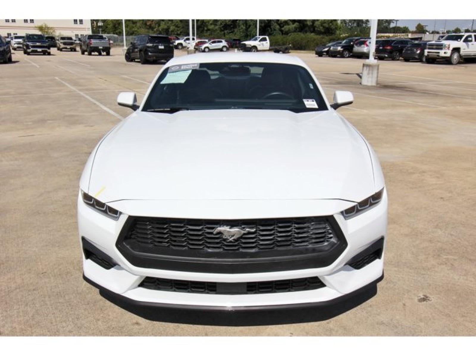 2024 Ford Mustang EcoBoost - 8