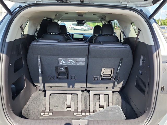 2026 Kia Carnival EX photo 4