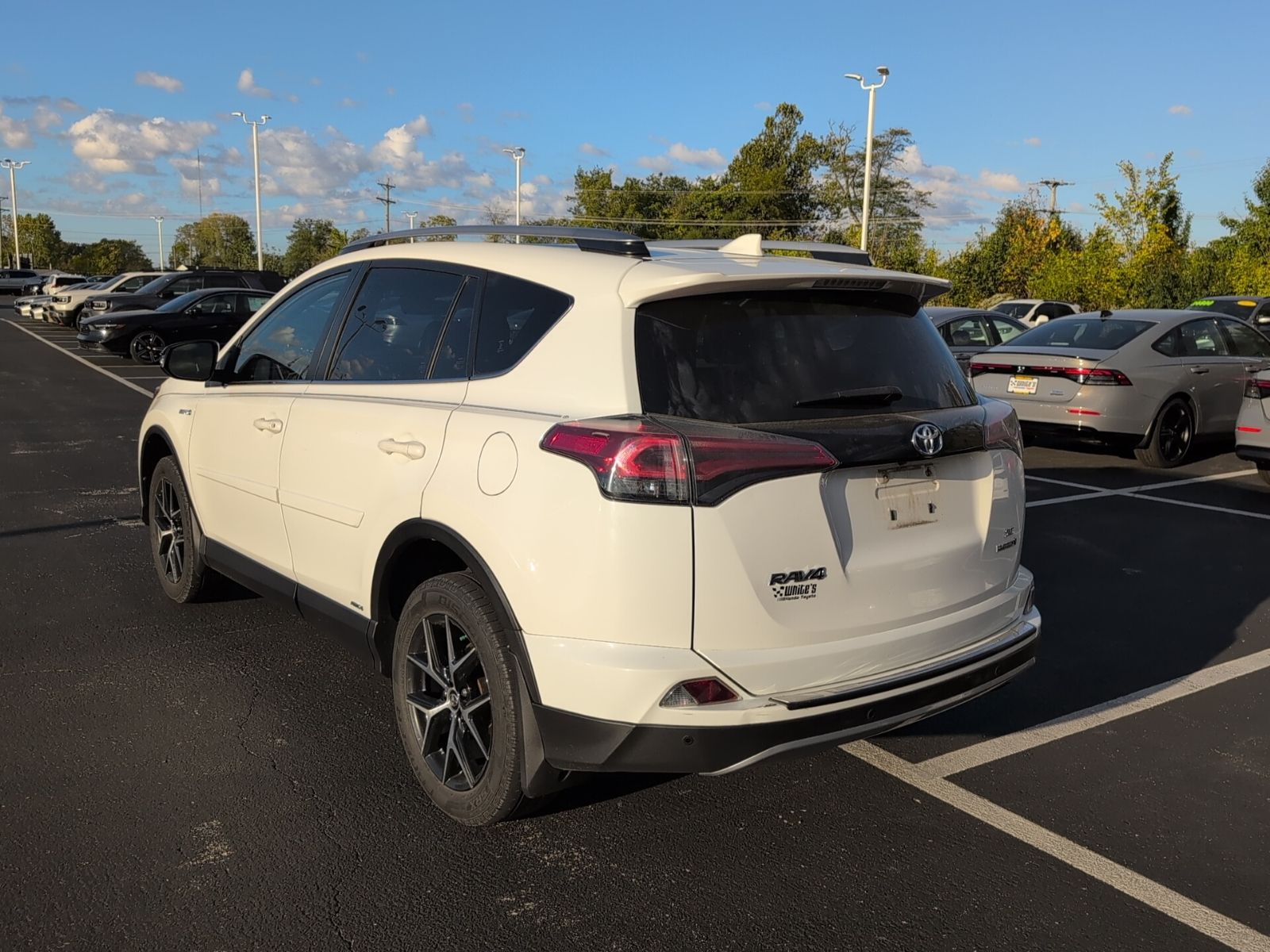 2018 Toyota RAV4 Hybrid SE photo 3