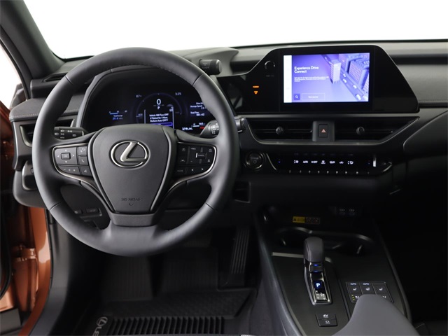 2025 Lexus UX Premium photo 19