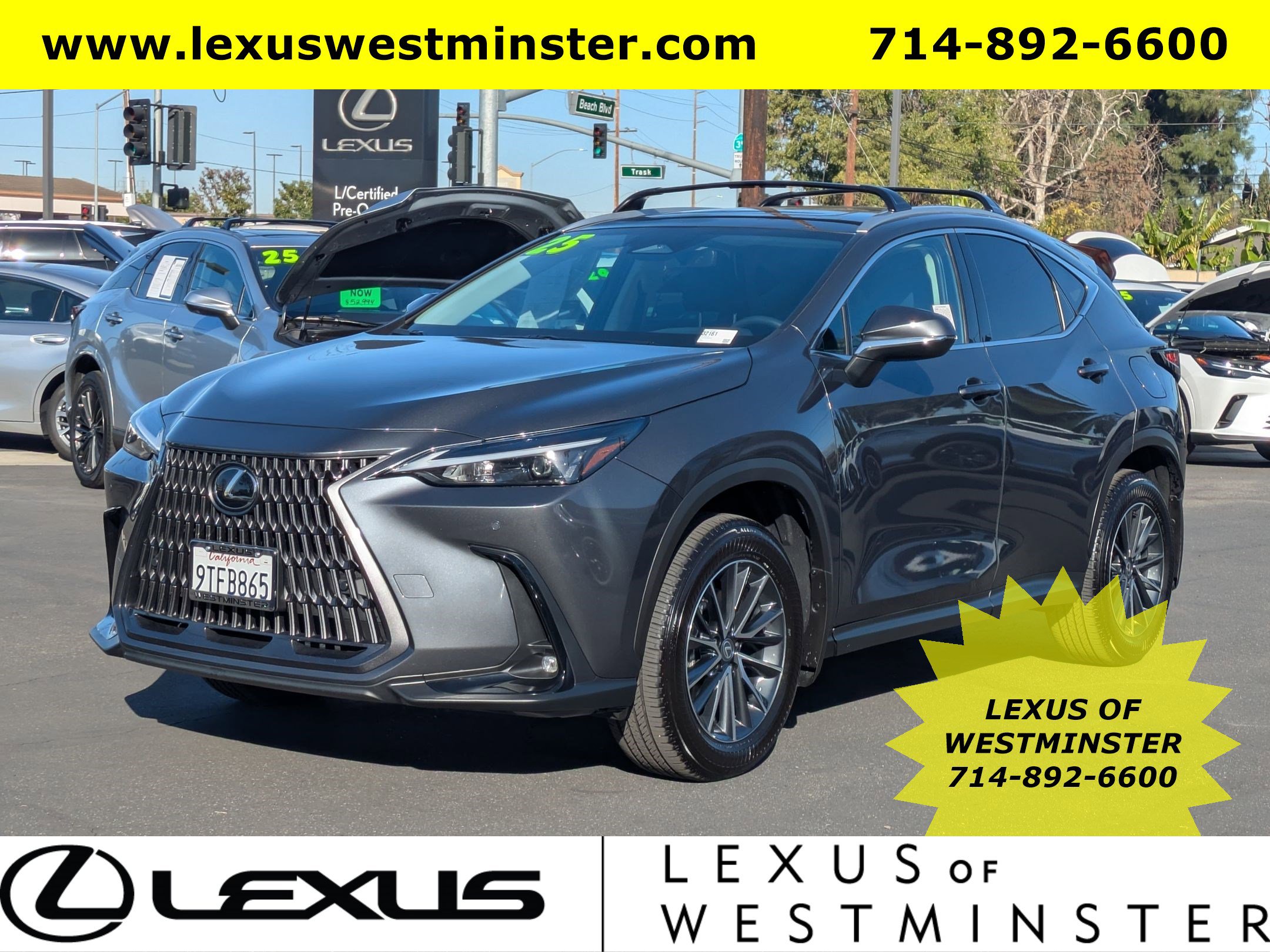 2025 Lexus NX 250