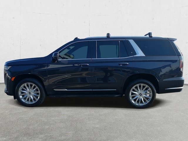 2023 Cadillac Escalade Premium Luxury photo 8
