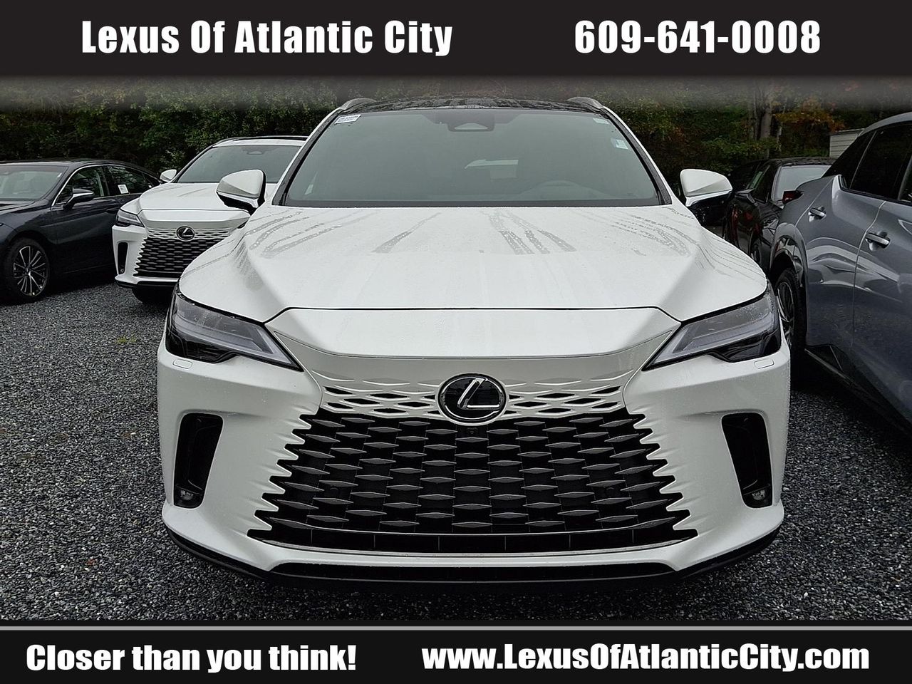 2025 Lexus RX 350h Luxury AWD photo 2