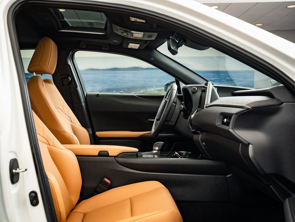 2025 Lexus UX Premium photo 21