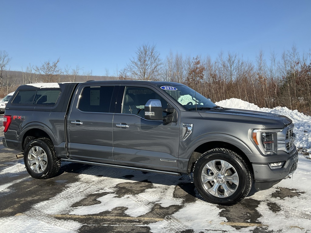2022 Ford F-150 Platinum's photo