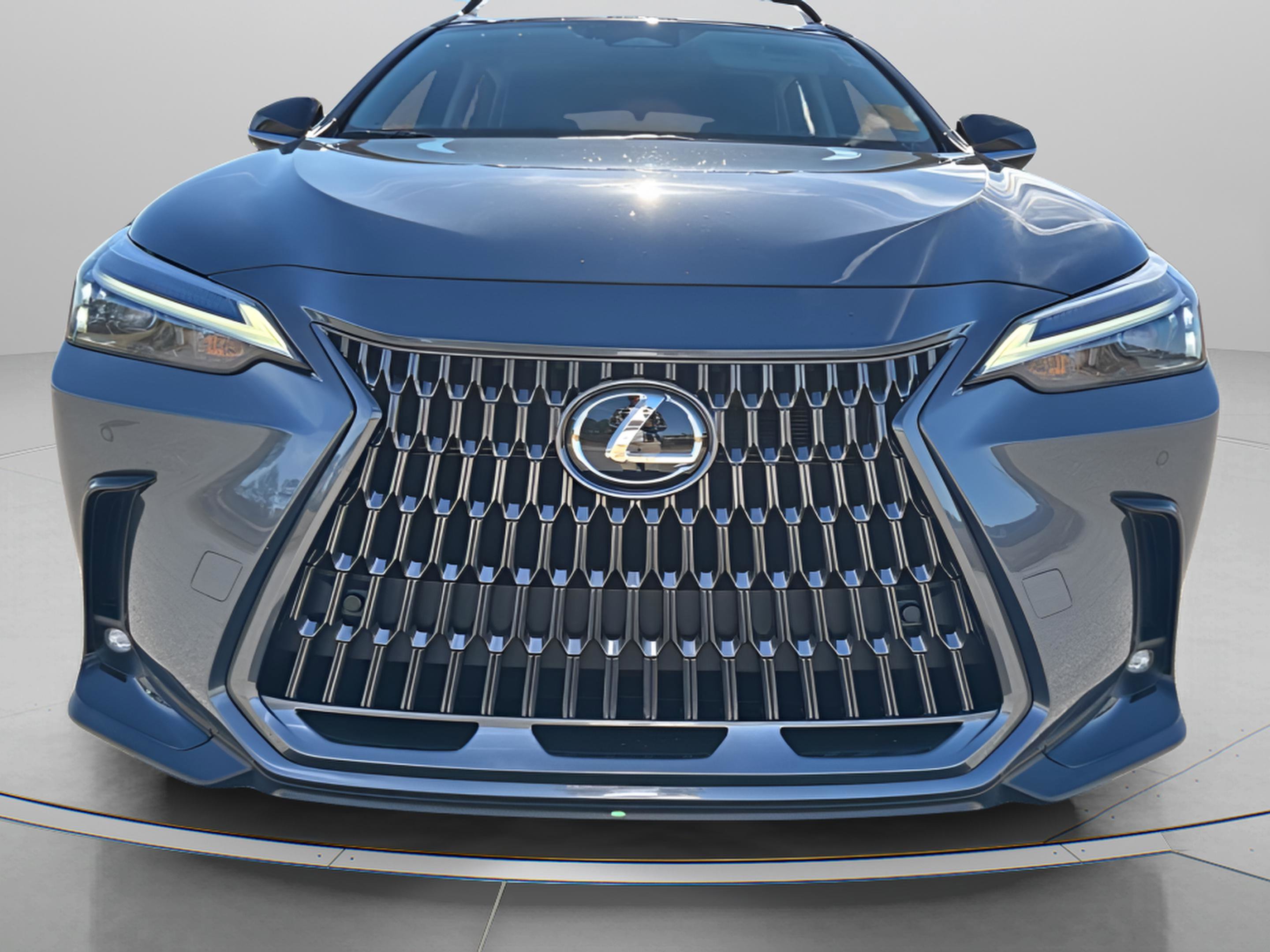 2025 Lexus NX 350h Premium photo 3