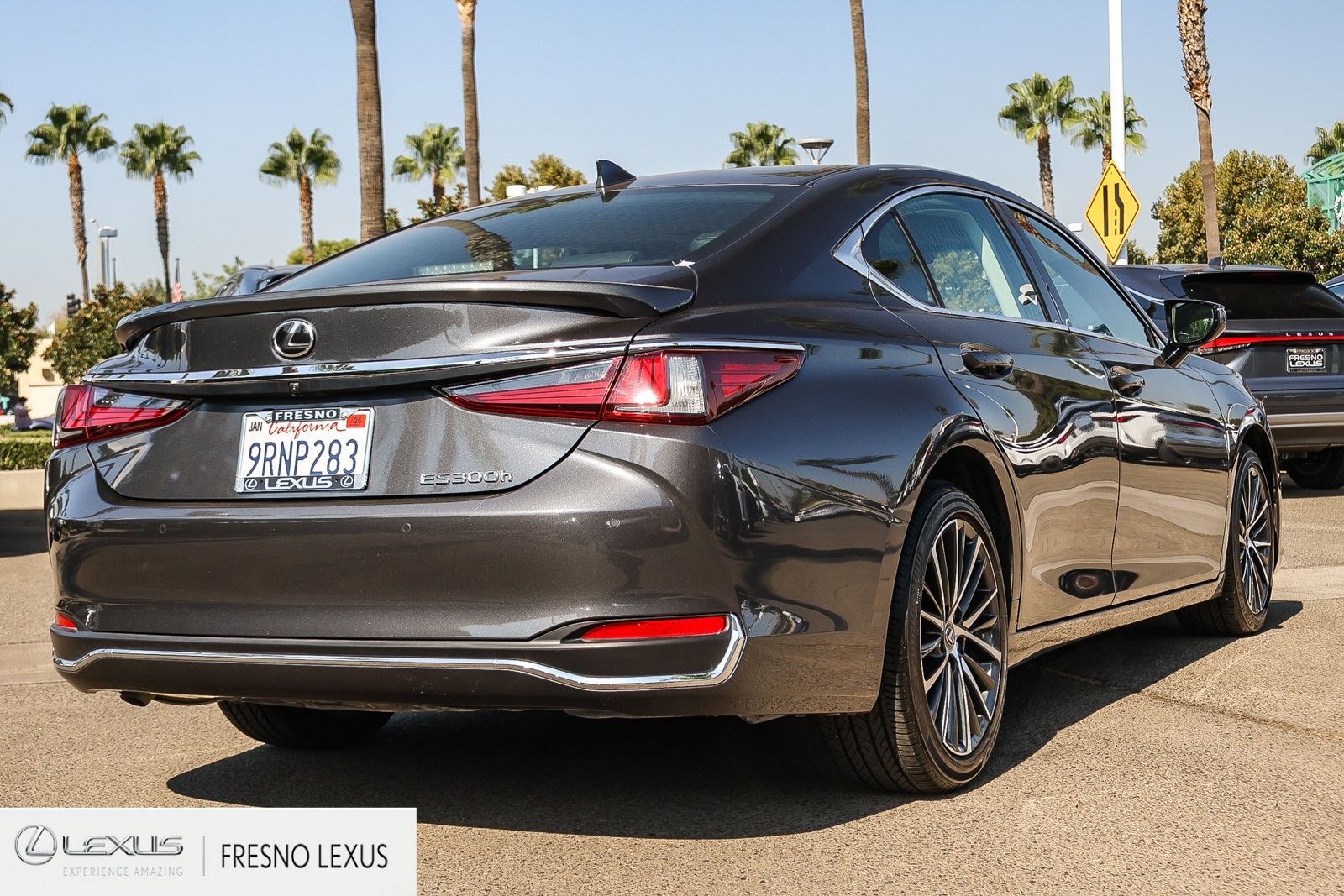 2025 Lexus ES 300h photo 6