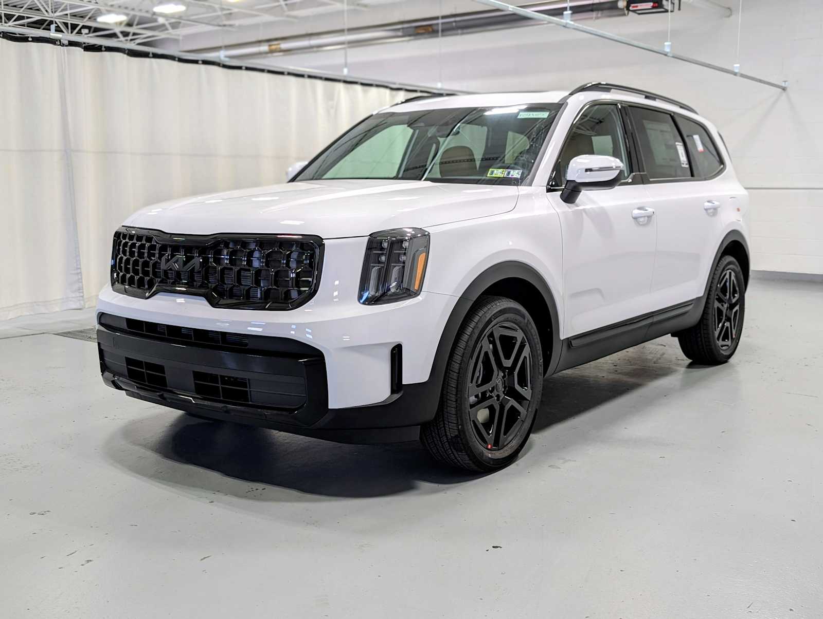 2025 Kia Telluride EX X-Line's photo