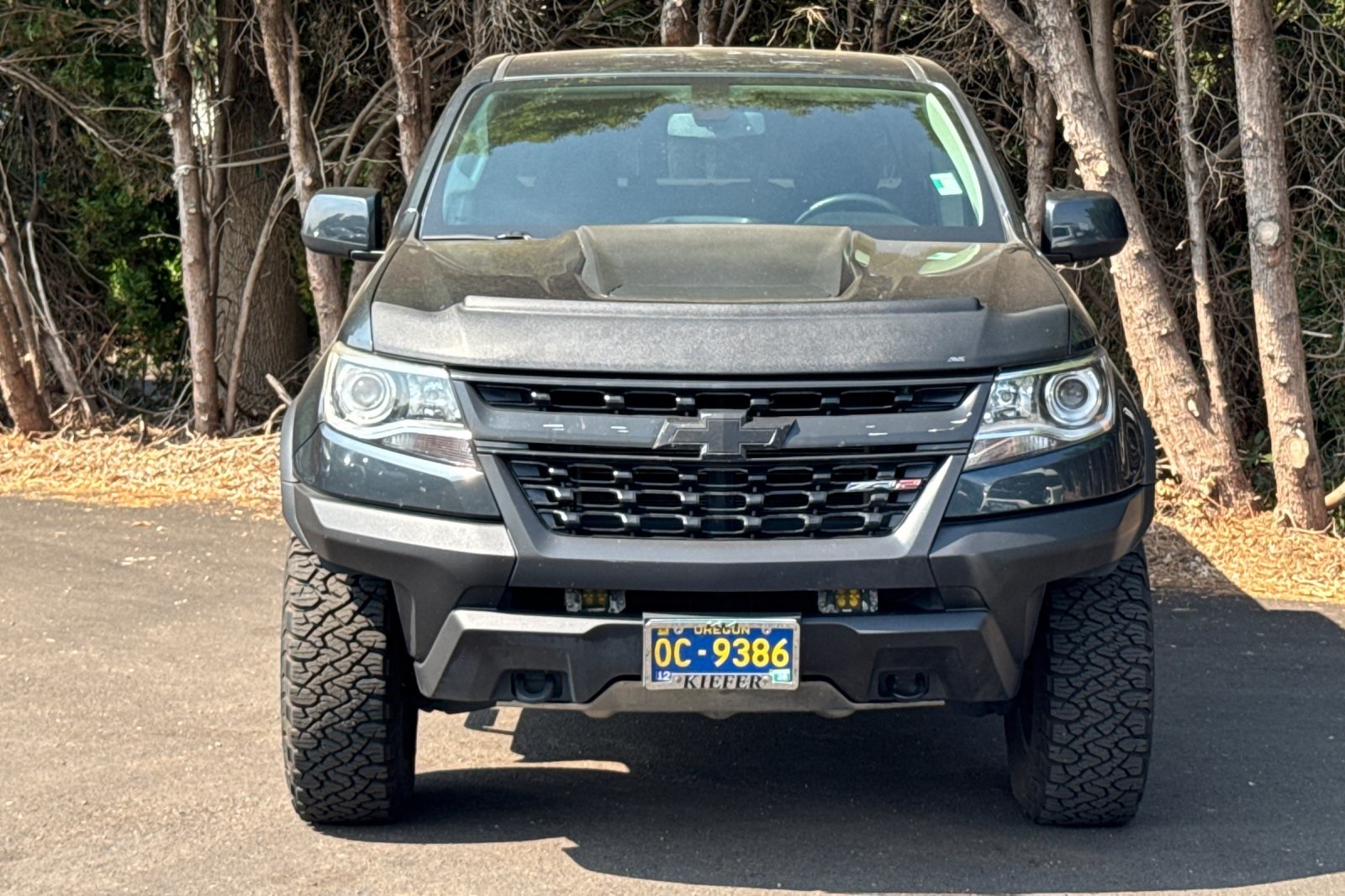 2018 Chevrolet Colorado ZR2 photo 9