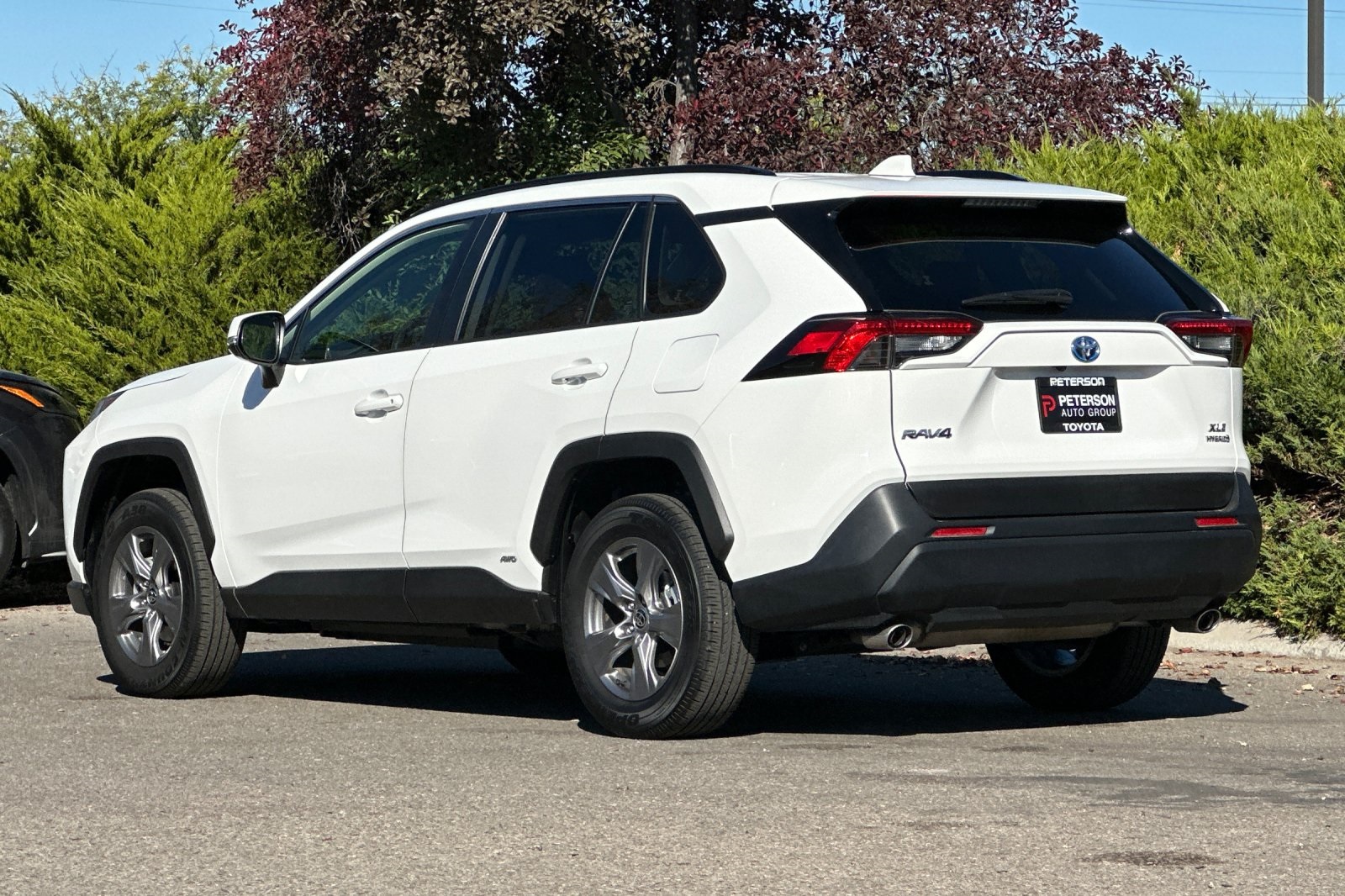 2023 Toyota RAV4 Hybrid XLE photo 6