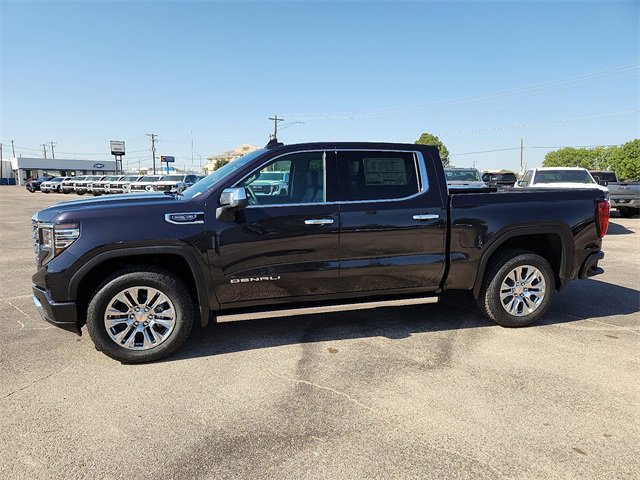 2025 Gmc Sierra 1500 Denali photo 2