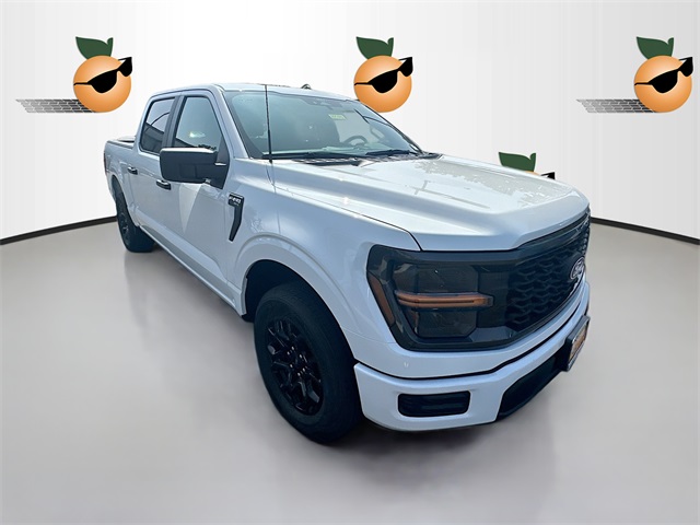 2025 Ford F-150 STX's photo