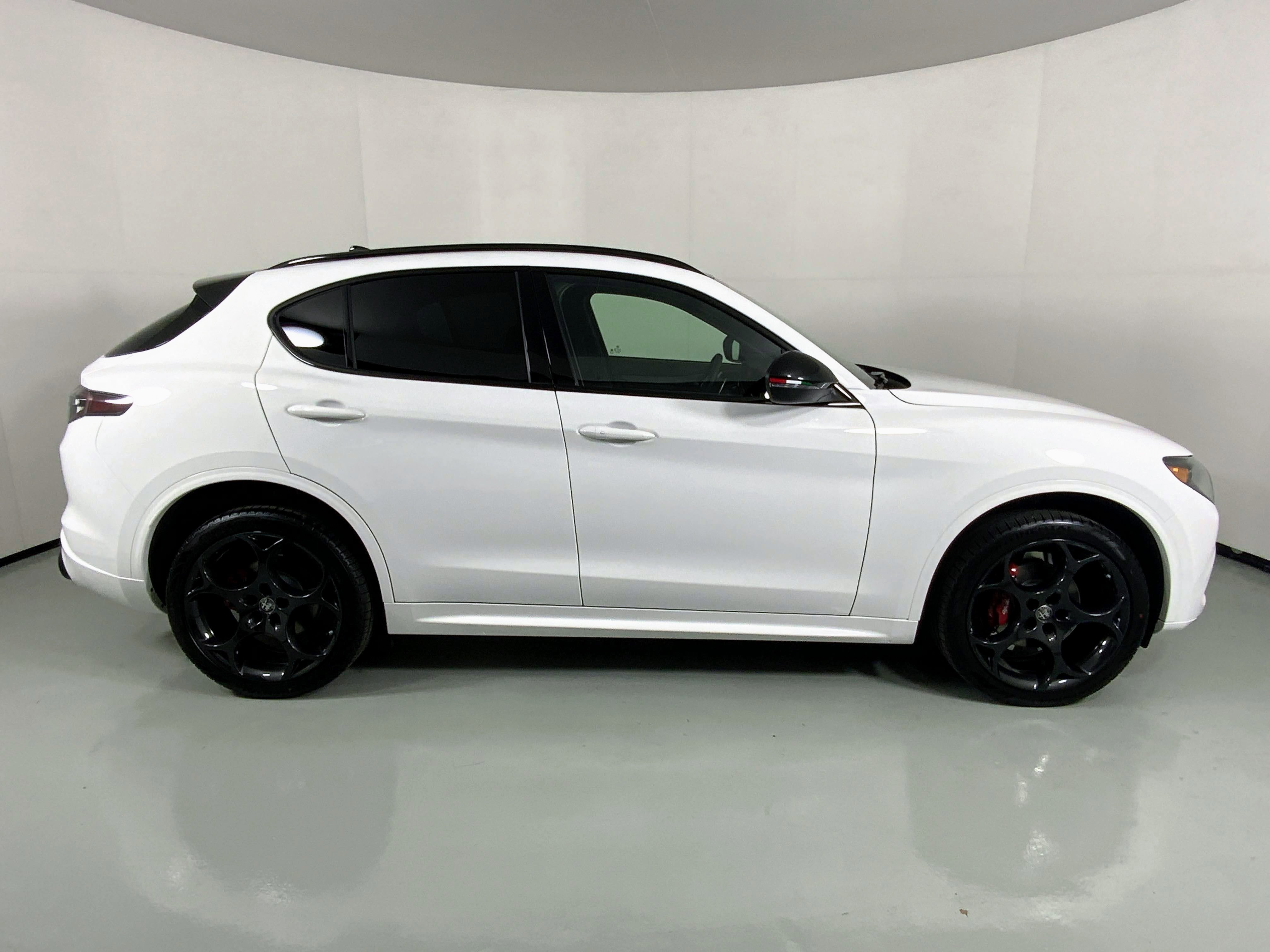 2025 Alfa Romeo Stelvio Tributo Italiano photo 3