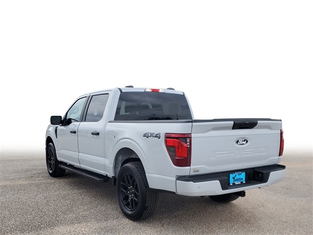 2025 Ford F-150 STX photo 3